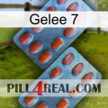 Jelly 7 05